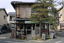 Cafe Honey Ant