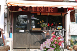 Lush Life
