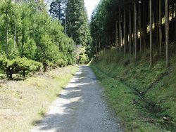 Kiyotaki River Trail Kiyotaki River Trail