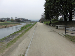 Kamo River