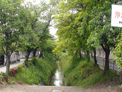 Shirakawa Sosui