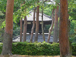 Shokokuji Temple