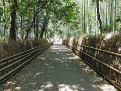 Arashiyama