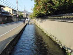 Near Kamigamo Shrine