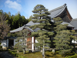 Myoshinji Temple