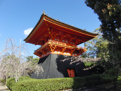 Ninnaji Temple
